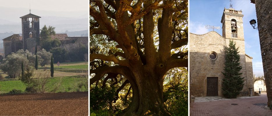 Benvinguts a Fontcoberta